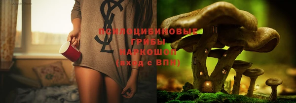 мет Арсеньев