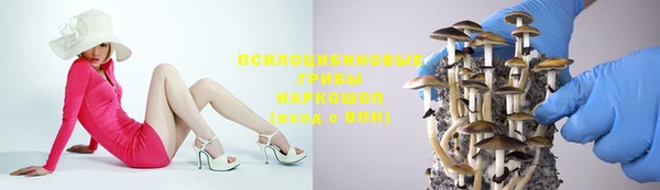 мет Арсеньев