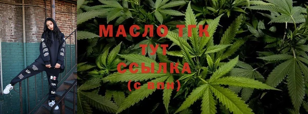 прущие грибы Баксан