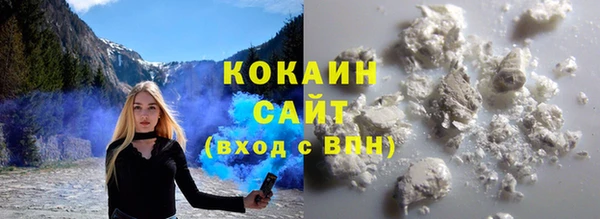 прущие грибы Баксан
