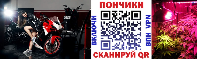 Купить закладки Ишимбай Каннабис White Widow